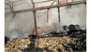 Fursungi Garbage Depot