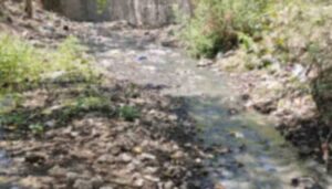 Pollution In Ram Nadi (1)
