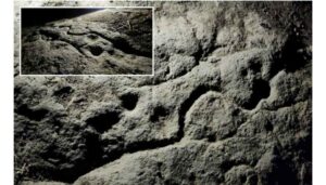 Ancient Engravings And Sculptures Unearthed At Sinhagad Fort