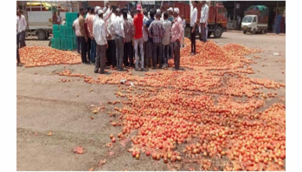 Tomato Valuation