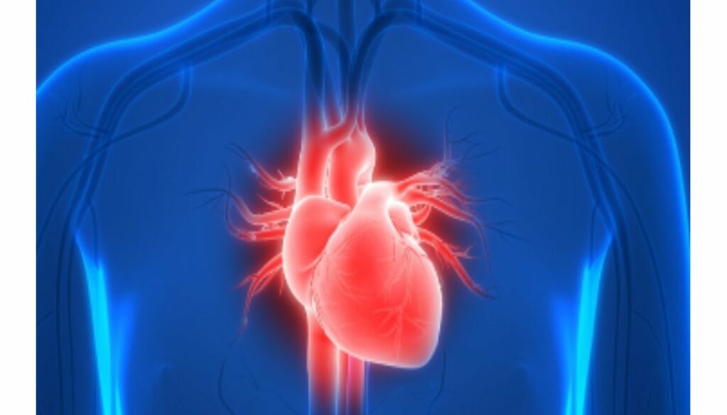 heart transplant (1)