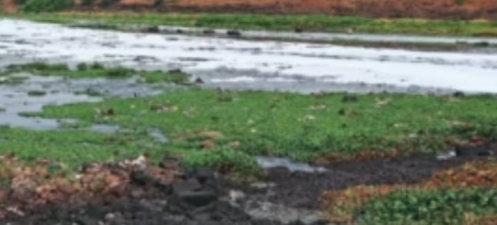 Pune: Hinjawadi Residents and Farmers Unite Against Polluted River Water