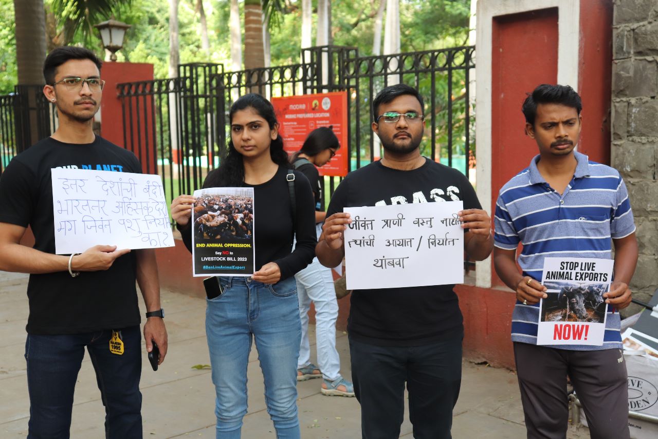 Animal Rights Activists Protest In Pune Against Proposed "Live Animal Import/Export Bill 2023"