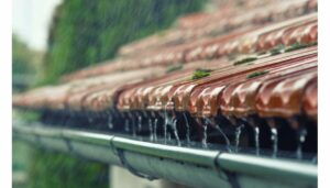 Monsoon-Proof