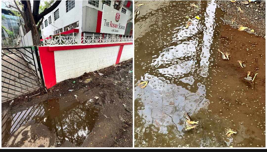 Pune: Waterlogging Outside Rosary School in Viman Nagar Raises Dengue Concerns for Children, Residents Demand Action From PMC