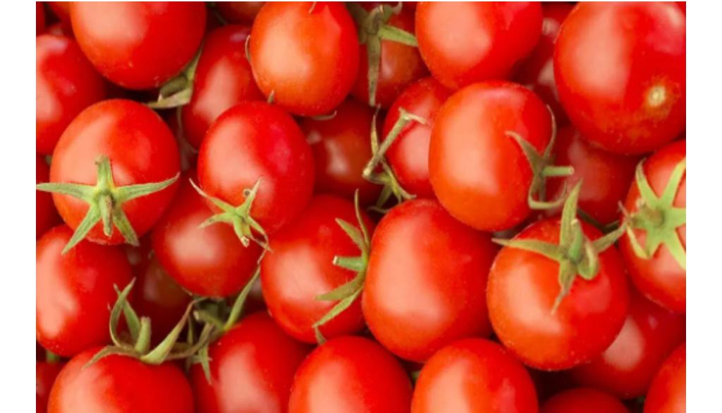 Tomatoes