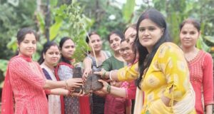 tree plantation in Pune