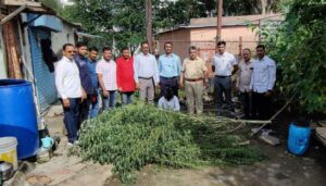Man Arrested For Growing Ganja Plants