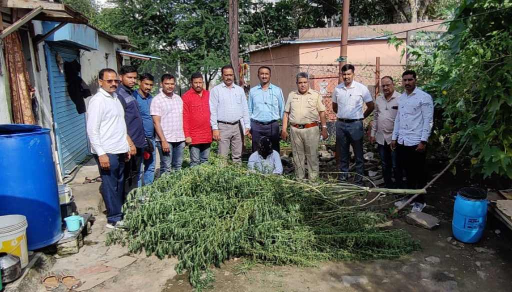 Man Arrested For Growing Ganja Plants
