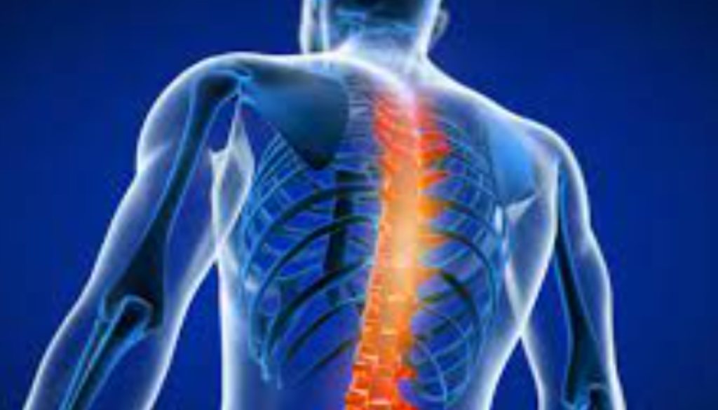 Spine Surgerie