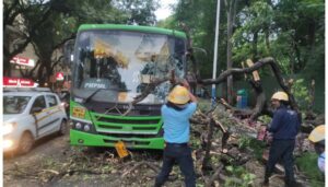 Tree Falls on PMPML Bus, Narrowly Avoids Tragedy