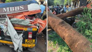 Four Injured In Tree Collapse Incident In Kothrud