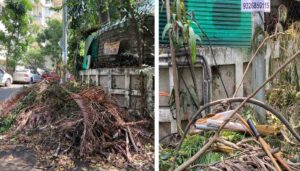 Kalyani Nagar Residents Relieved by Garden Waste Removal