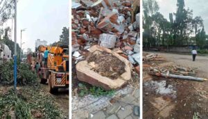 _Tree felling on Ganeshkhind road