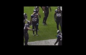 jaguars