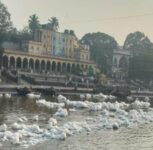 Pune: PCMC Standing Committee Clears Rs 430.75-Crore Indrayani River Rejuvenation Project