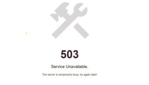503 server error