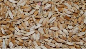 Grains