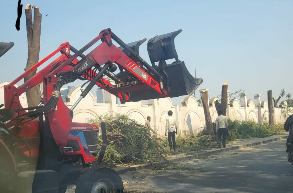 Koregaon Park Tree Cutting