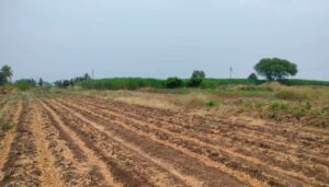 Land (2)