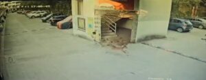 Straydog attack on kud in PUNE