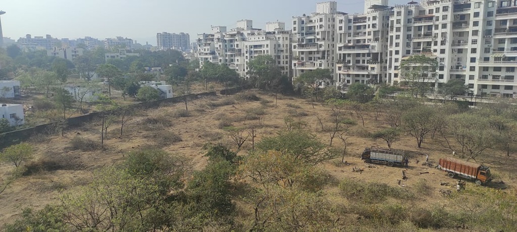 Deforestation in Wanowrie pune