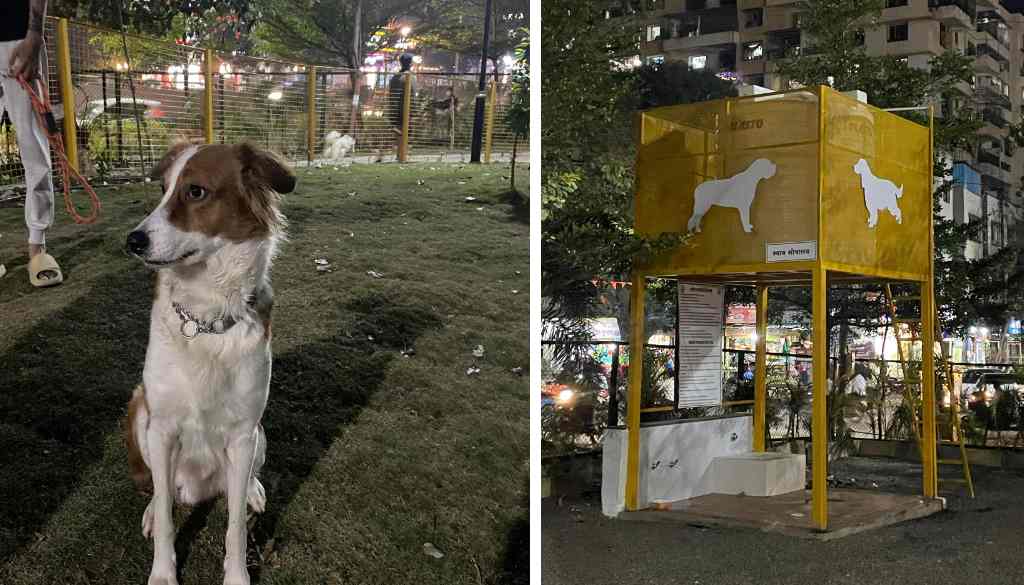 PCMC Introduces ‘Dog Park’ for Pooches and Their Proud Owners – Punekar News