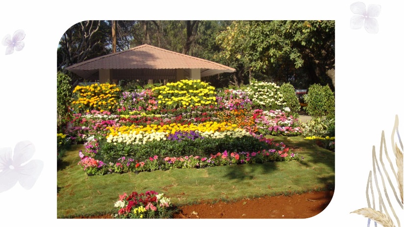 Empress Garden Pune