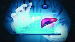 Liver