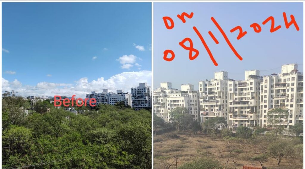 Residents Seek Government Intervention as Deforestation Threatens Habitat In This Area Of Pune
