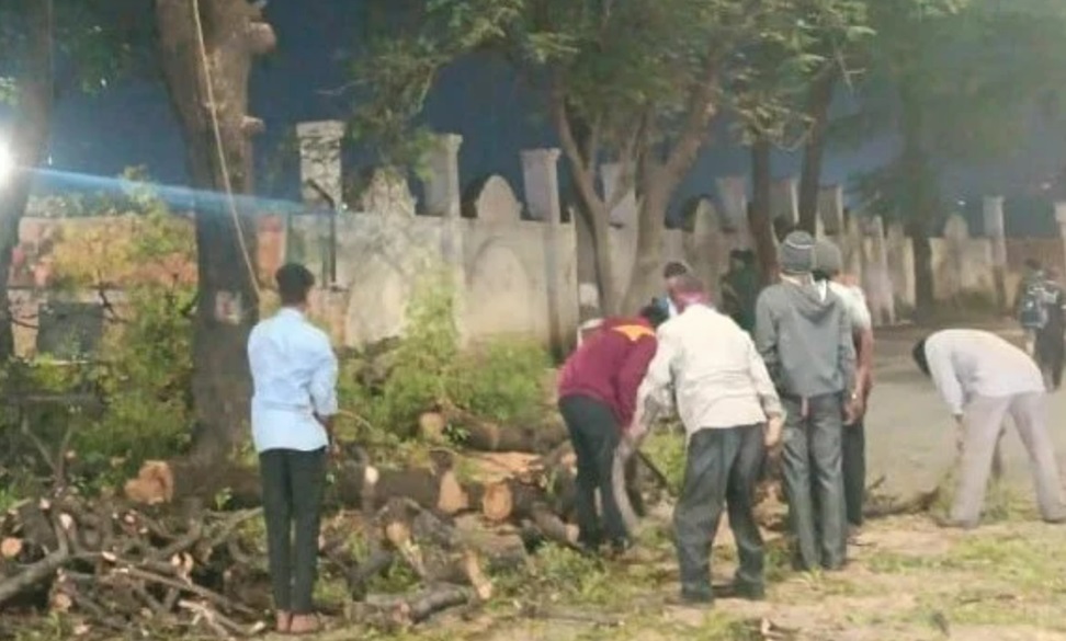 tree cutting in Koregaon Park