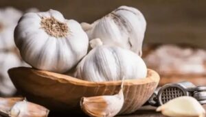 Garlic
