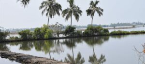 Khazan Goa