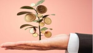 Large Cap Funds