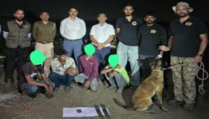 _Leopard Found Dead Near Lohegaon