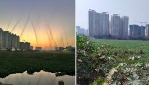 Mosquito Menace Grips Kharadi