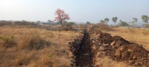Pune Mahatma Tekdi Faces Threats Despite Proposed Biodiversity Park Status