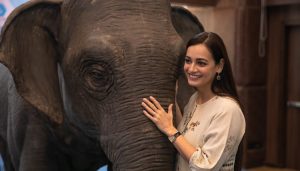 Animatronic Elephant (1)