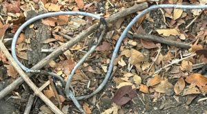 Internet Cable