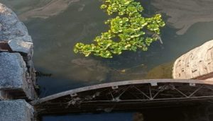 Andhra Dam