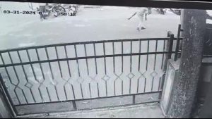 Chopper-Wielding Youth