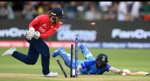 Cricket