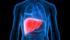 Fatty Liver Diseases