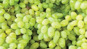 Grapes