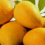 High Demand For Mango Ahead of Akshaya Tritiya In Pune
