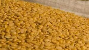 Toor Dal