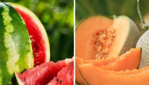 Watermelon vs Muskmelon