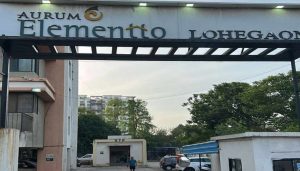 Aurum Elementto Society