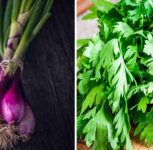 Pune: Prices of Coriander, Fenugreek, Spring Onions, and Sorrel Surge by 15-20%