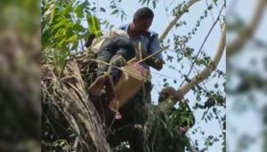 Man Rescued by Fire Brigade